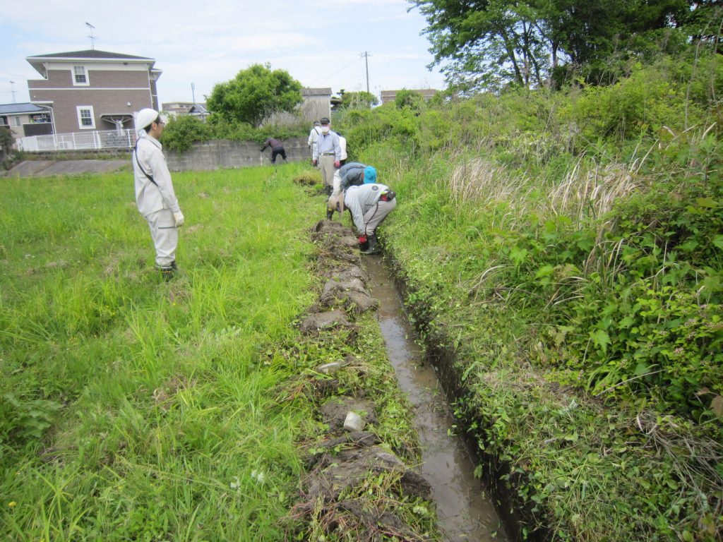 通水機能保持のために水路の草刈り、泥上げを点検も兼ねて実施しました。